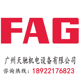 FAG N413 圓柱滾子軸承